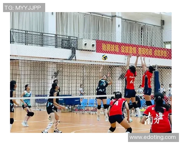 武汉排球队实力崛起排球技术排行榜中荣获第十名佳绩